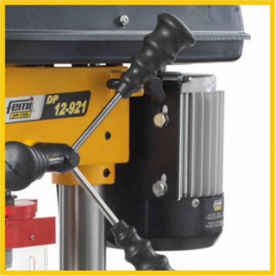 ΚΟΛΩΝΑΤΟ ΔΡΑΠΑΝΟ ΠΑΓΚΟΥ FEMI DP 12-921