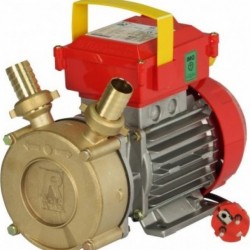 ΑΝΤΛΙΑ ΜΕΤΑΓΓΙΣΗΣ ROVER CE 35 1.0hp.